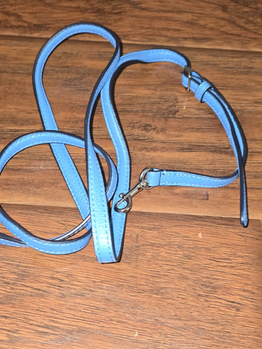 Coach Pebbled Leather Wristlet Bag in Sky Blue